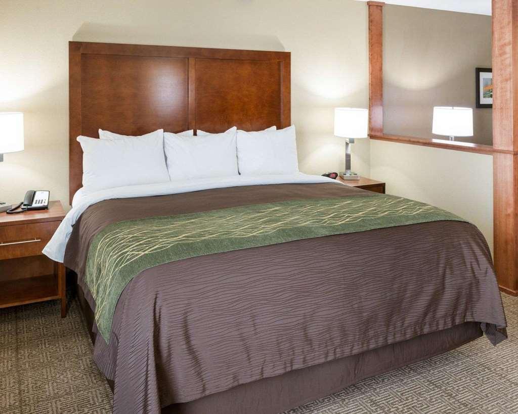 Comfort Inn & Suites West - Medical Center Рочестер Номер фото