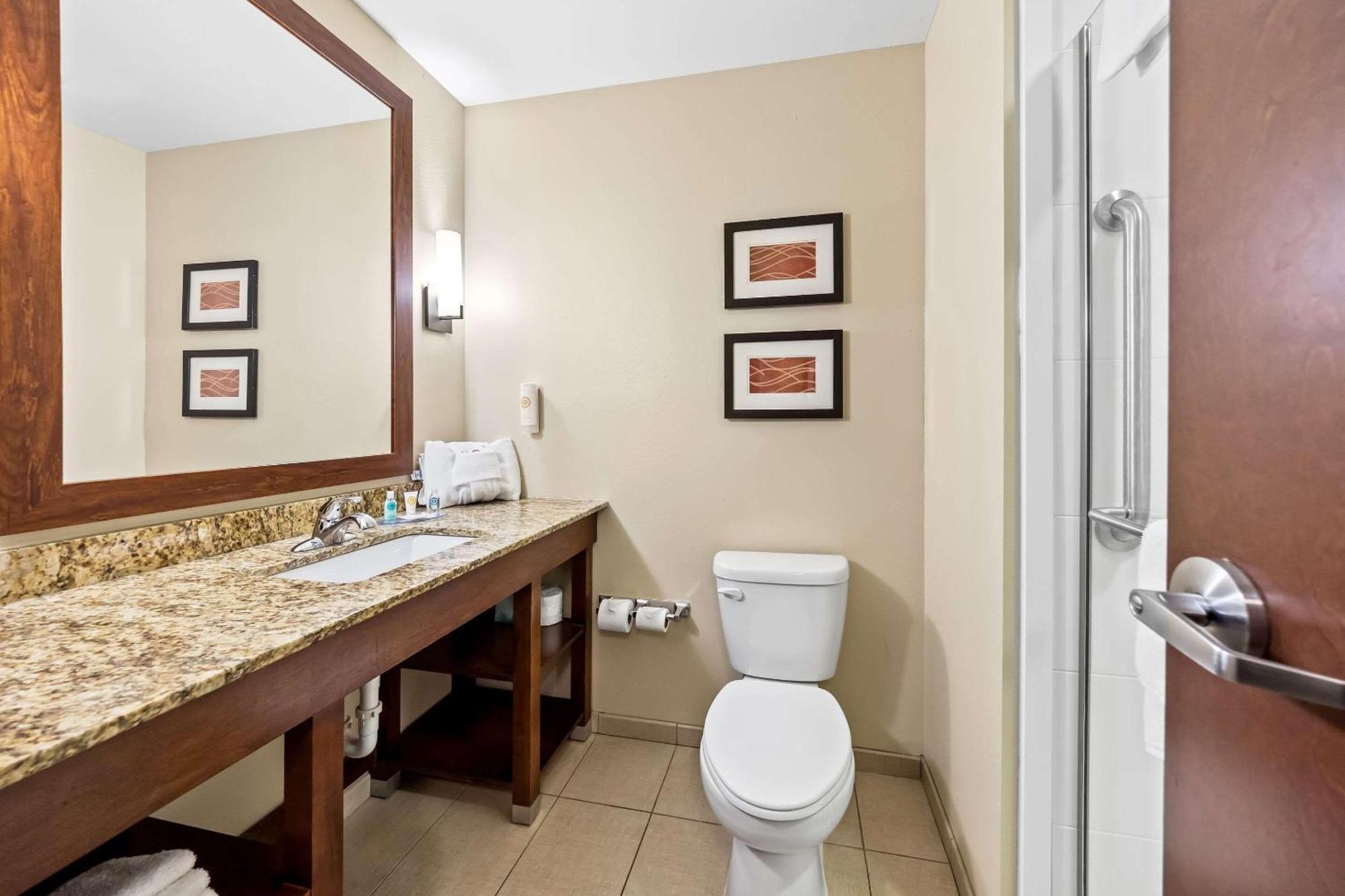 Comfort Inn & Suites West - Medical Center Рочестер Екстер'єр фото