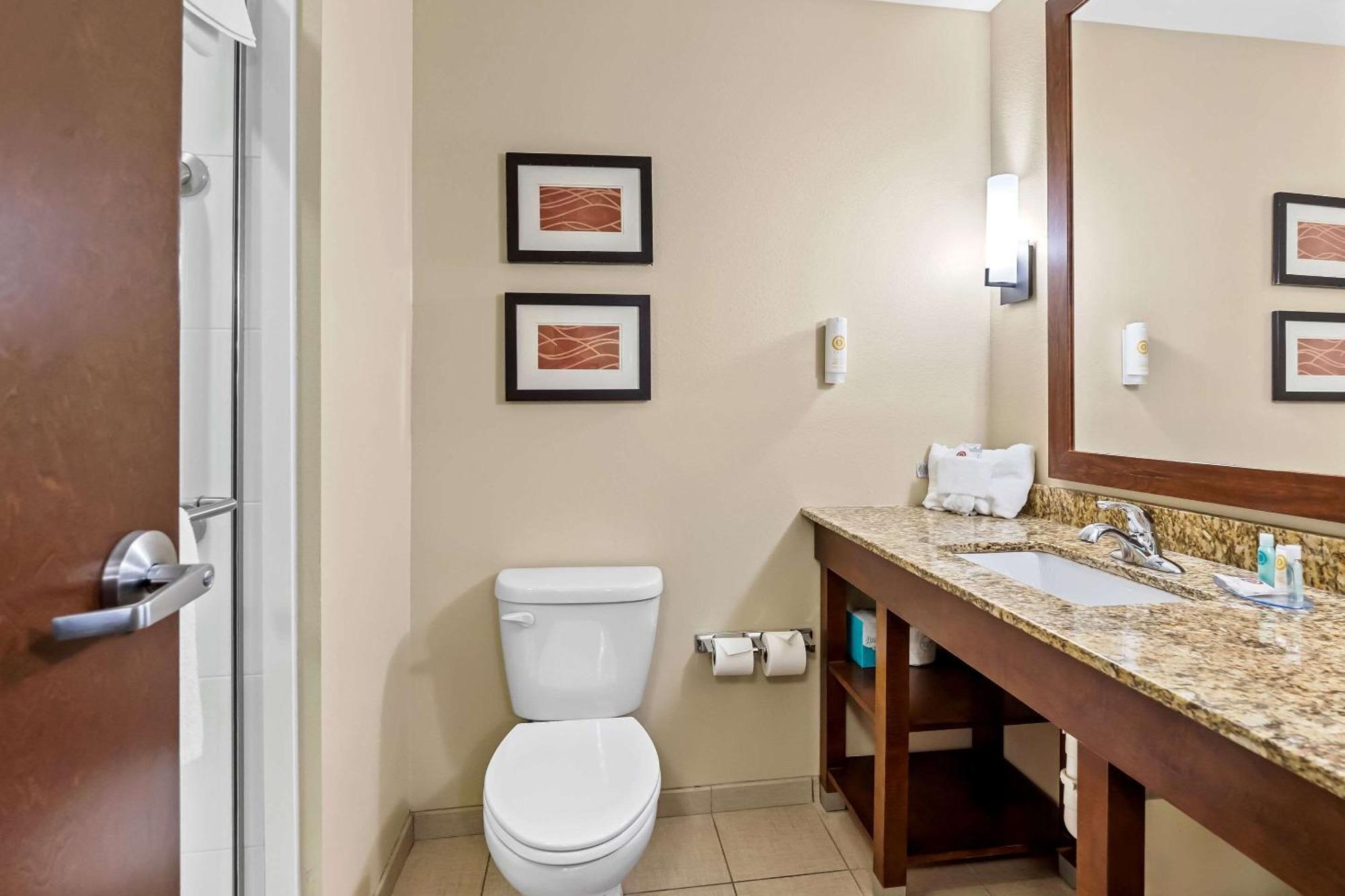 Comfort Inn & Suites West - Medical Center Рочестер Екстер'єр фото
